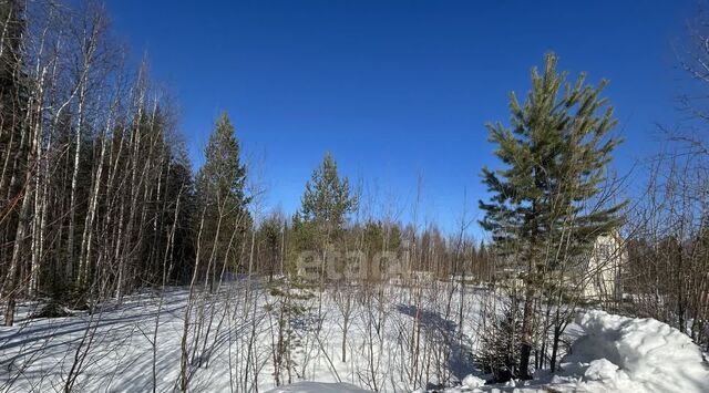 муниципальное образование, Лесное-2 садоводческое товарищество, 600 фото