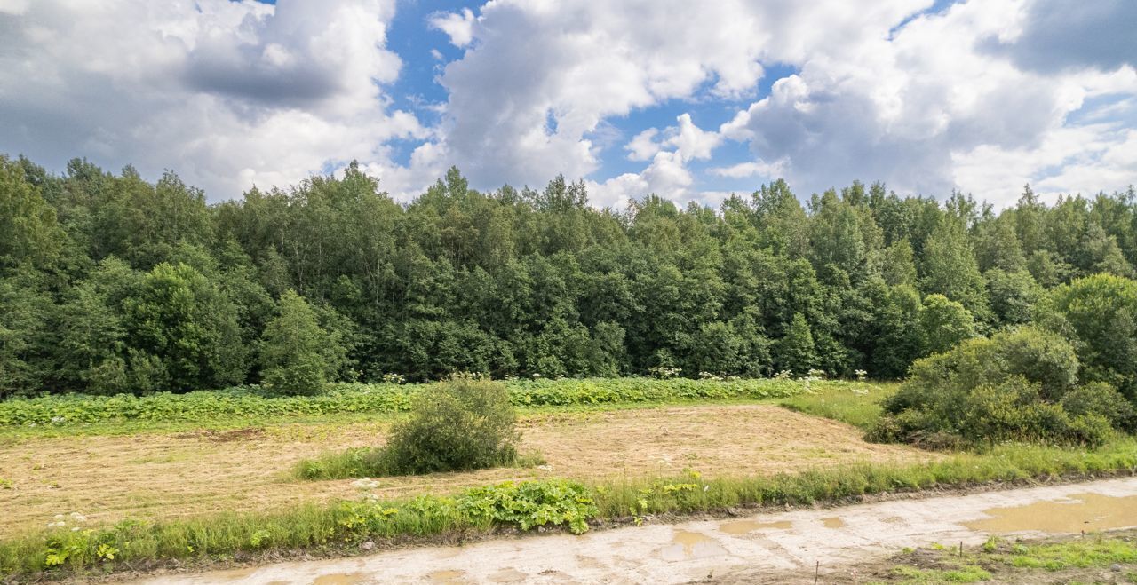 земля р-н Всеволожский г Кудрово Мурманское шоссе, 4 км, Заневское городское поселение, коттеджный пос. Мяглово Парк фото 8