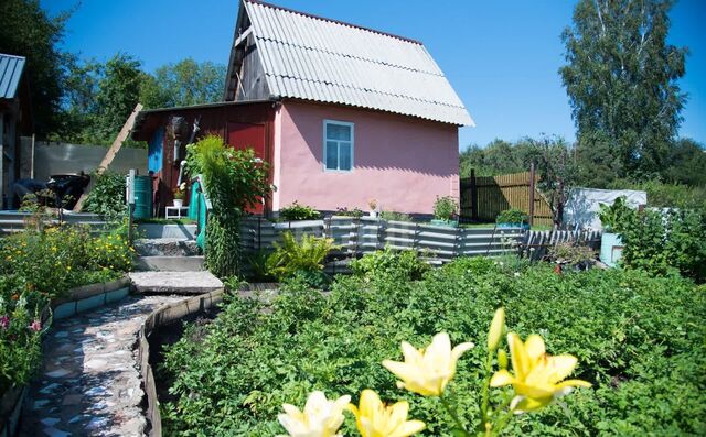 тер. СНП Авиценна Бердск фото