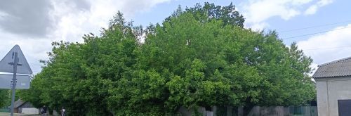 офис г Воронеж р-н Железнодорожный ул Заповедная 1/25 фото 1