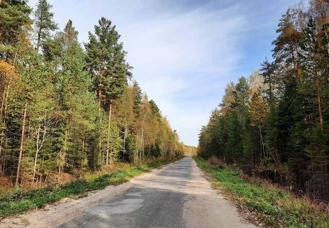 земля муниципальное образование Пекшинское, Костерево фото