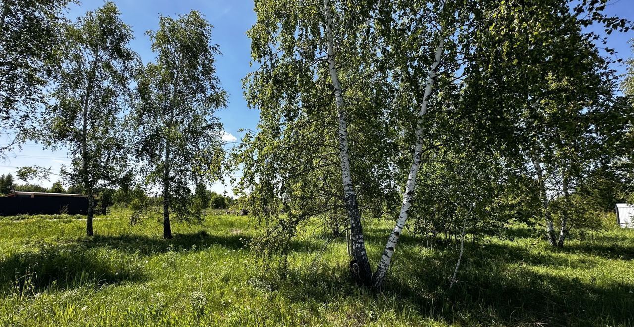 земля городской округ Раменский кв-л 2/274 9754 км, Раменское, Егорьевское шоссе фото 3