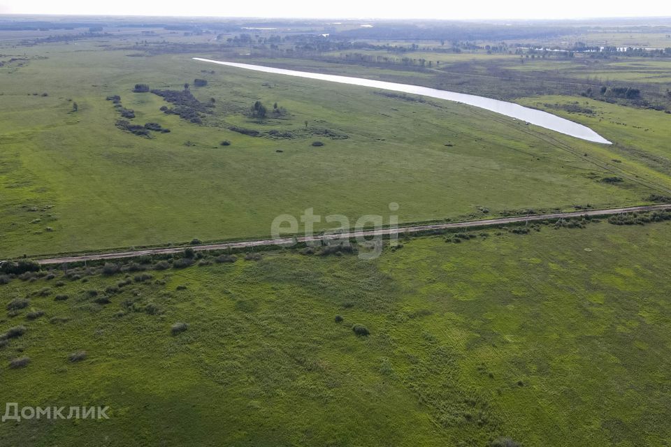 земля р-н Тюменский село Борки фото 2