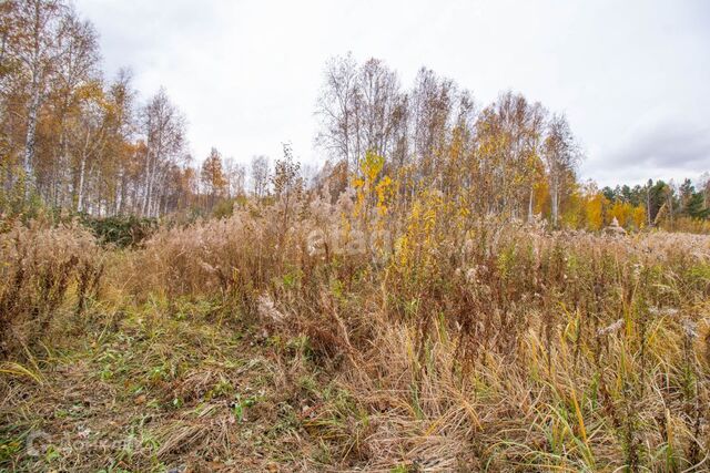 снт Сосновая поляна ул 5-я городской округ Тюмень фото