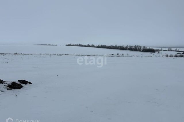 земля ул Крайняя 21ж Частодубравский сельсовет фото