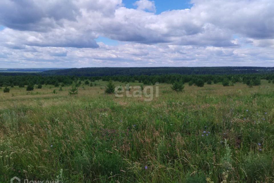 земля р-н Завьяловский д Каменное ул Весенняя 4-я фото 4