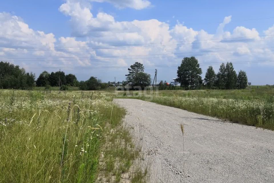 земля р-н Брянский д Дубровка микрорайон Юбилейный фото 2