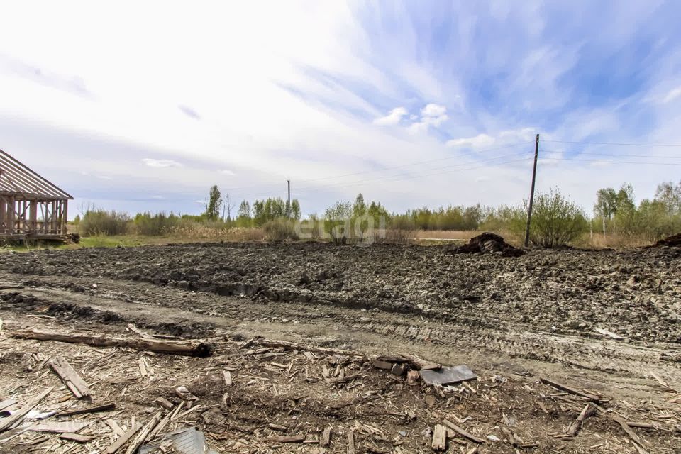 земля г Тюмень снт Ясень городской округ Тюмень, Первая улица фото 10