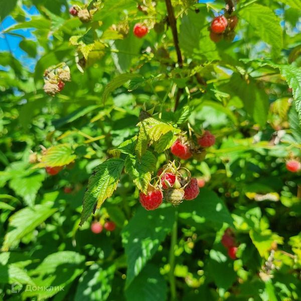 земля р-н Кировский коттеджный посёлок Ягодное фото 1