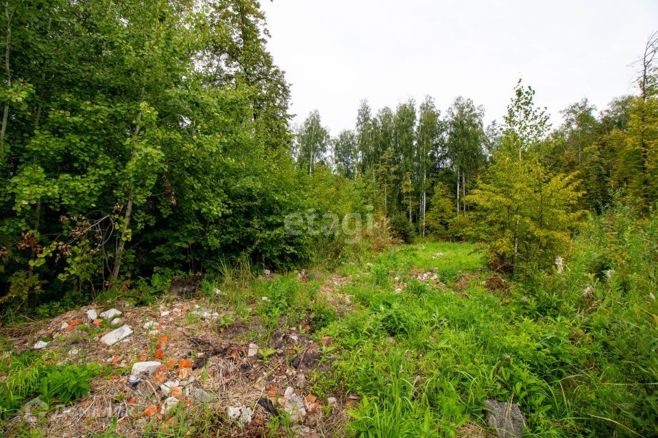 земля р-н Нижнетавдинский снт Здоровье-2 ул 8-я фото 8