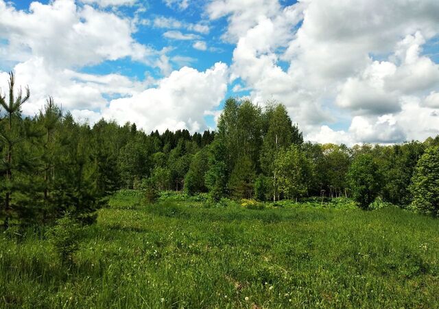 Федяковское сельское поселение, Киров фото