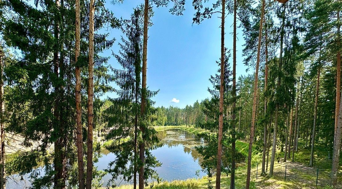 дом р-н Всеволожский д Мистолово ул Парковая 8 Бугровское городское поселение, Парнас фото 15