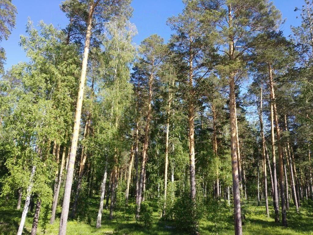 квартира г Заречный ул Олимпийская 1а Южный управленческий округ фото 18