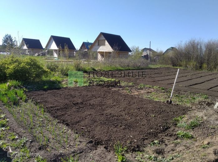 земля городской округ Барнаул, СНТ Михайловское фото 3