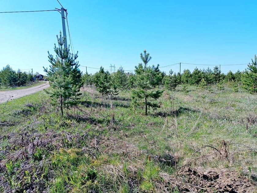 земля г Тюмень тер дачное некоммерческое товарищество Березка Подушкино, Изюмный проезд, Тюменский район фото 5