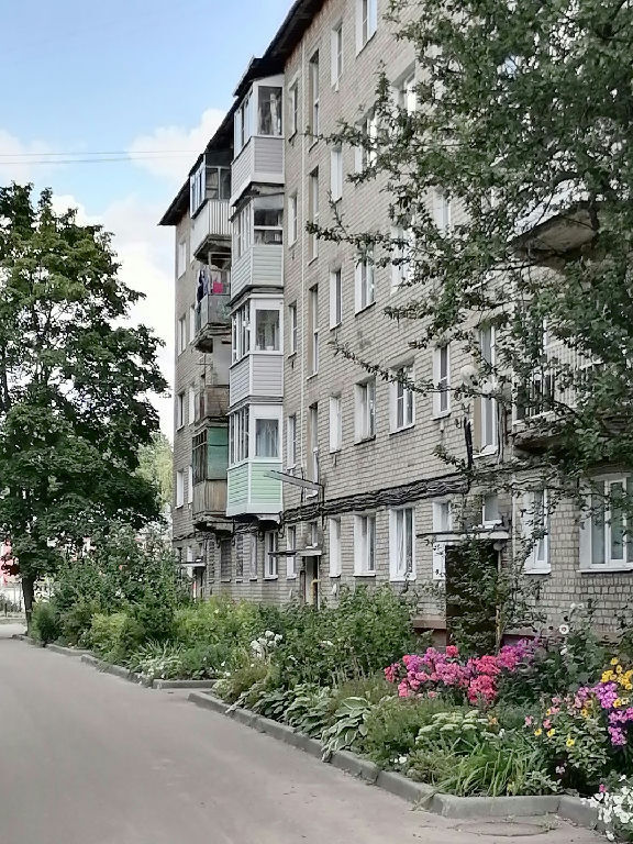 квартира г Орехово-Зуево ул Бугрова 24 Новокосино фото 1