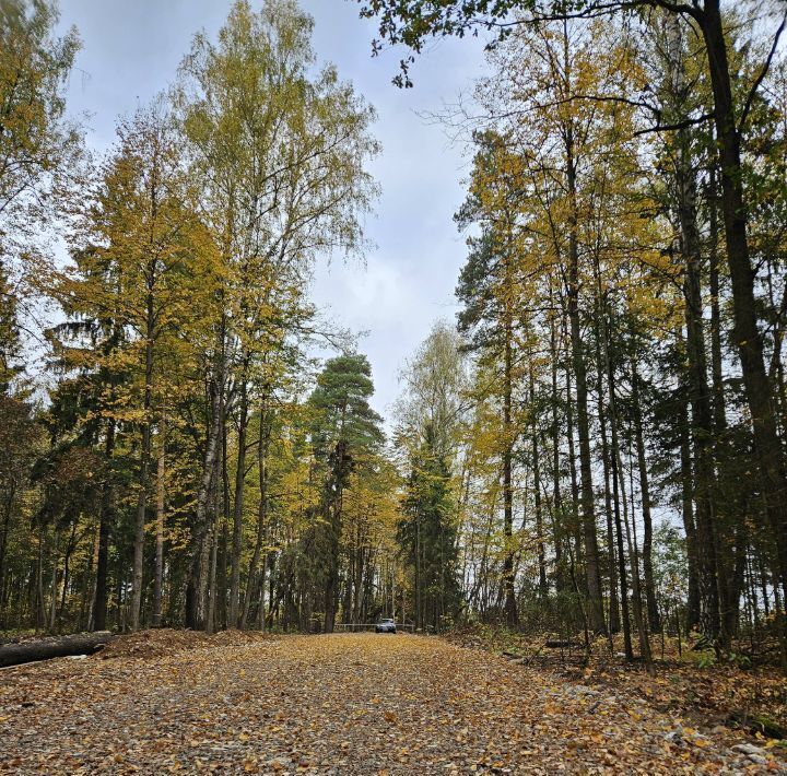 земля городской округ Пушкинский с Левково Левковская Гора тер., ул. Сказочная фото 2