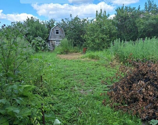 СНТ Полиграфист, городской округ Егорьевск фото