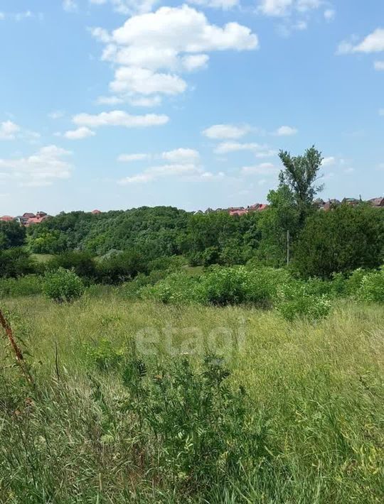 земля р-н Яковлевский с Верхний Ольшанец ул Центральная фото 3