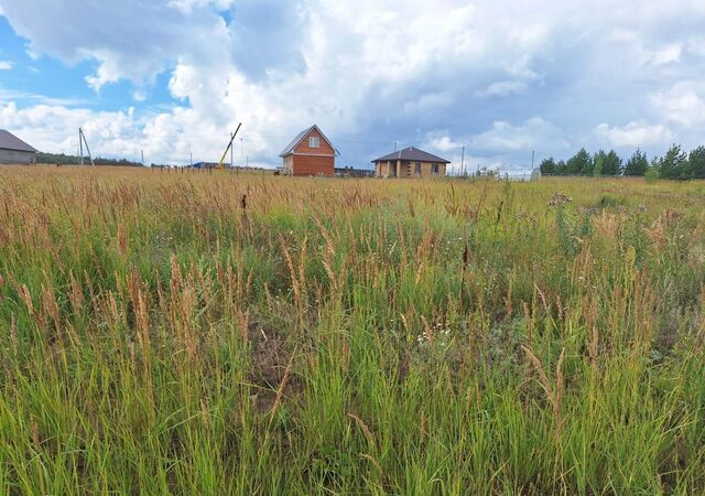 земля ул Дарьи Меньшиковой Верхнеуслонское сельское поселение фото