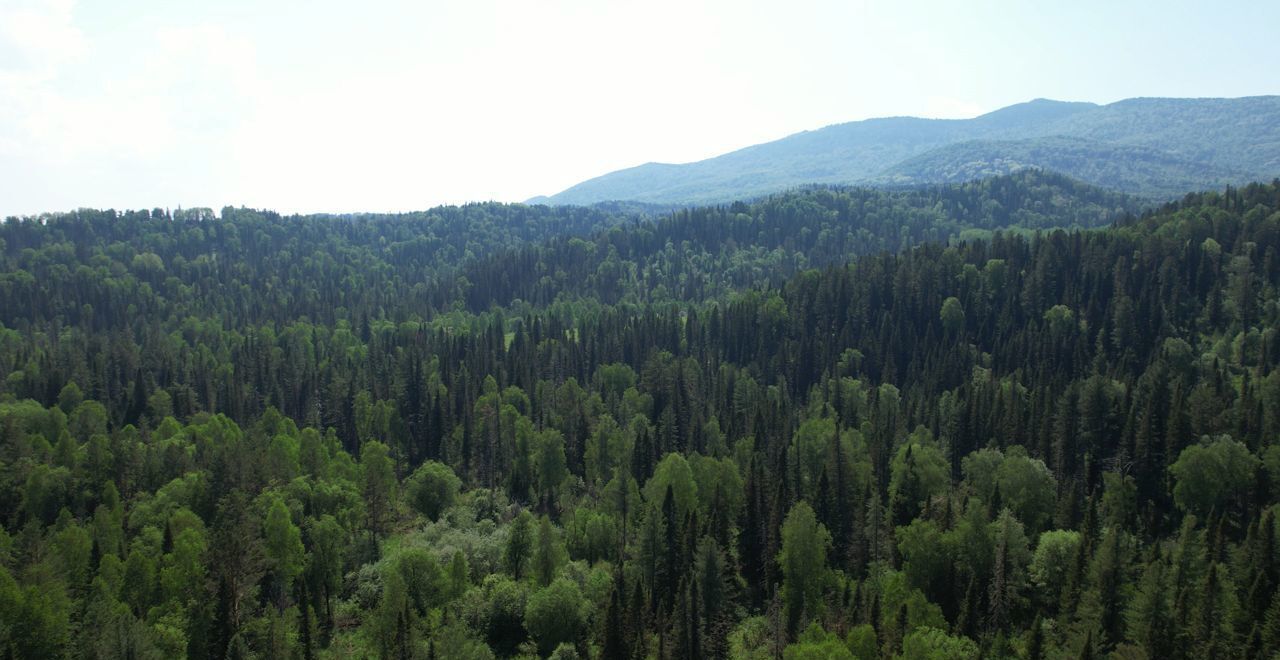 земля р-н Чойский с Кара-Торбок Горно-Алтайск фото 30