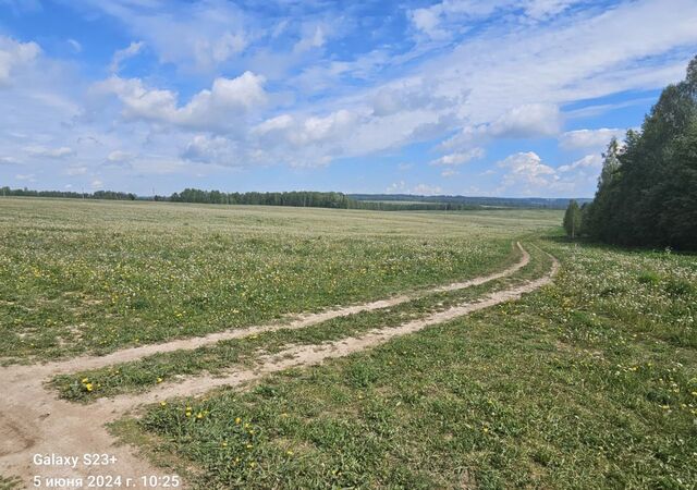 с Якшур-Бодья ул Полевая фото