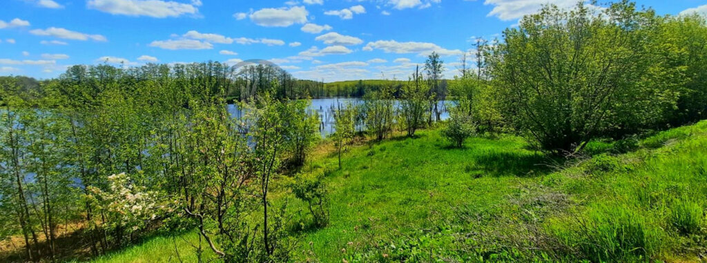 земля р-н Нурлатский д Единение ул Лунная Егоркинское сельское поселение фото 8