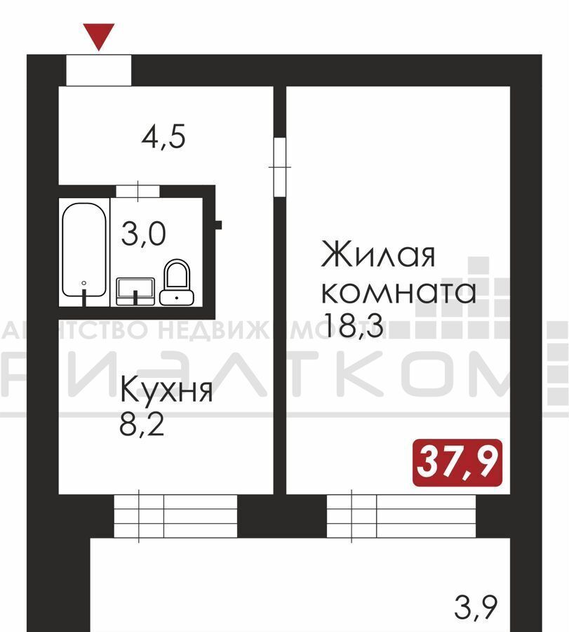 квартира р-н Благовещенский с Чигири ул Европейская 9 Благовещенск фото 8