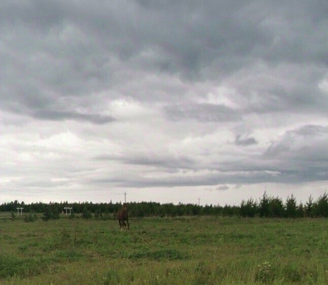 дом р-н Артемовский п Кислянка ул Кислянка 16 Артемовский городской округ фото 8