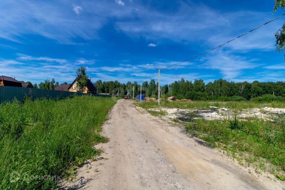 земля г Тюмень снт Поле чудес ул Виноградная городской округ Тюмень фото 1