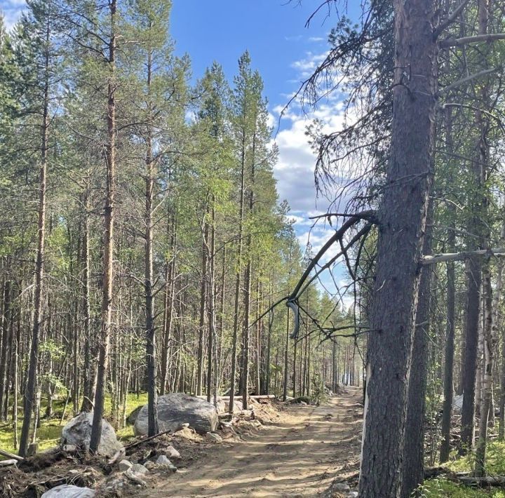 земля р-н Кольский г Кола городское поселение, Брусникино-3 кп фото 3
