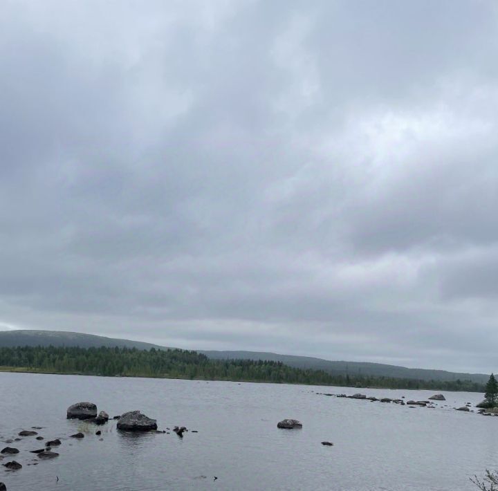 земля р-н Кольский г Кола городское поселение, Брусникино-3 кп фото 13