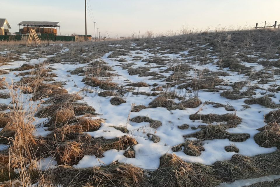 земля р-н Майминский с Подгорное ул Центральная Майминское сельское поселение фото 5