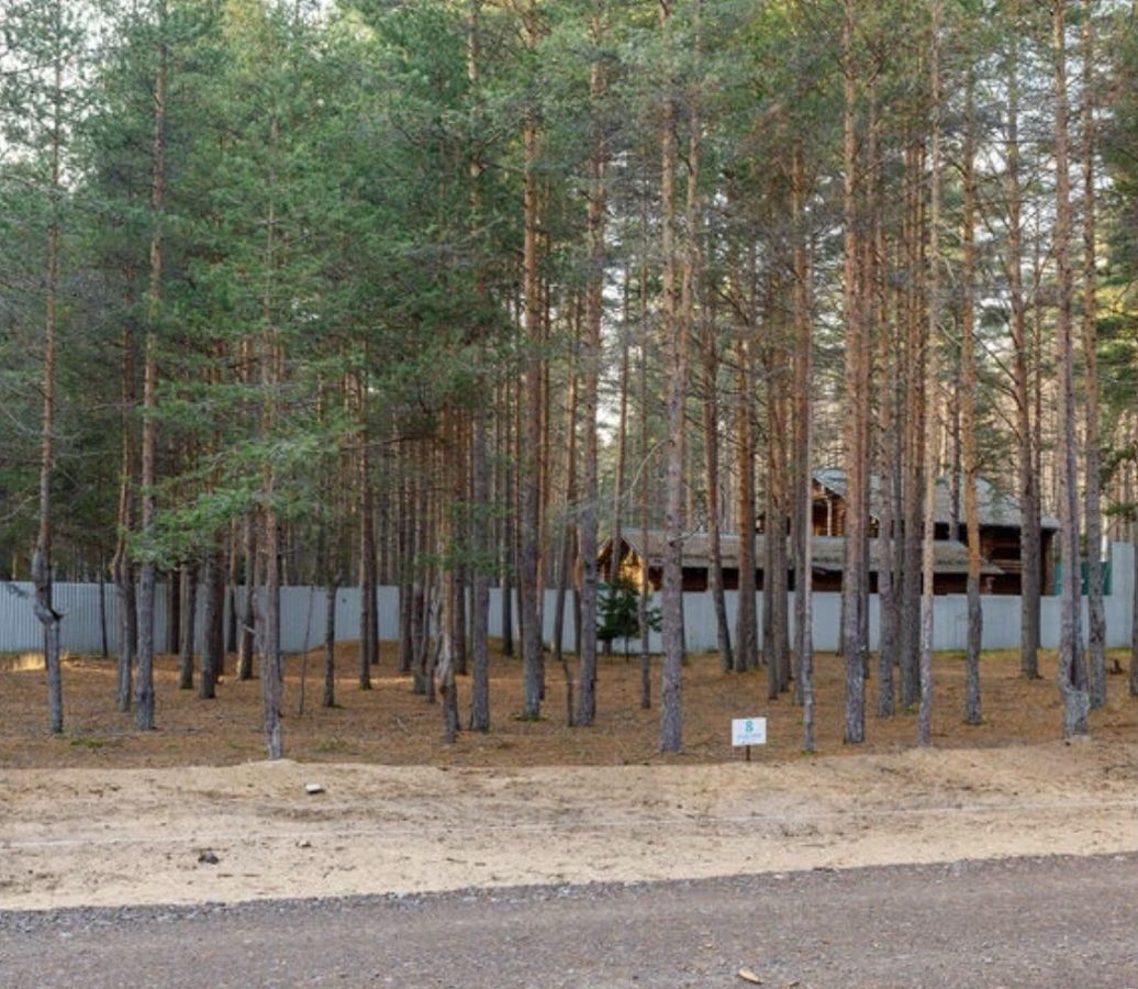 земля р-н Приозерский п Саперное Ромашкинское сельское поселение фото 1