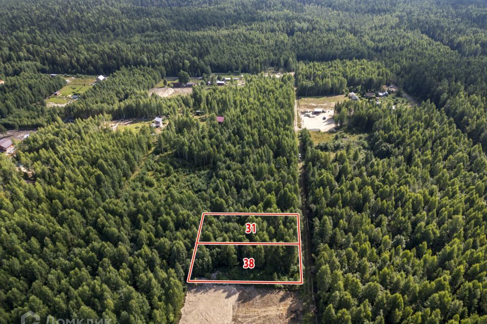 земля р-н Прионежский СНТ Ветеран-1 фото 1