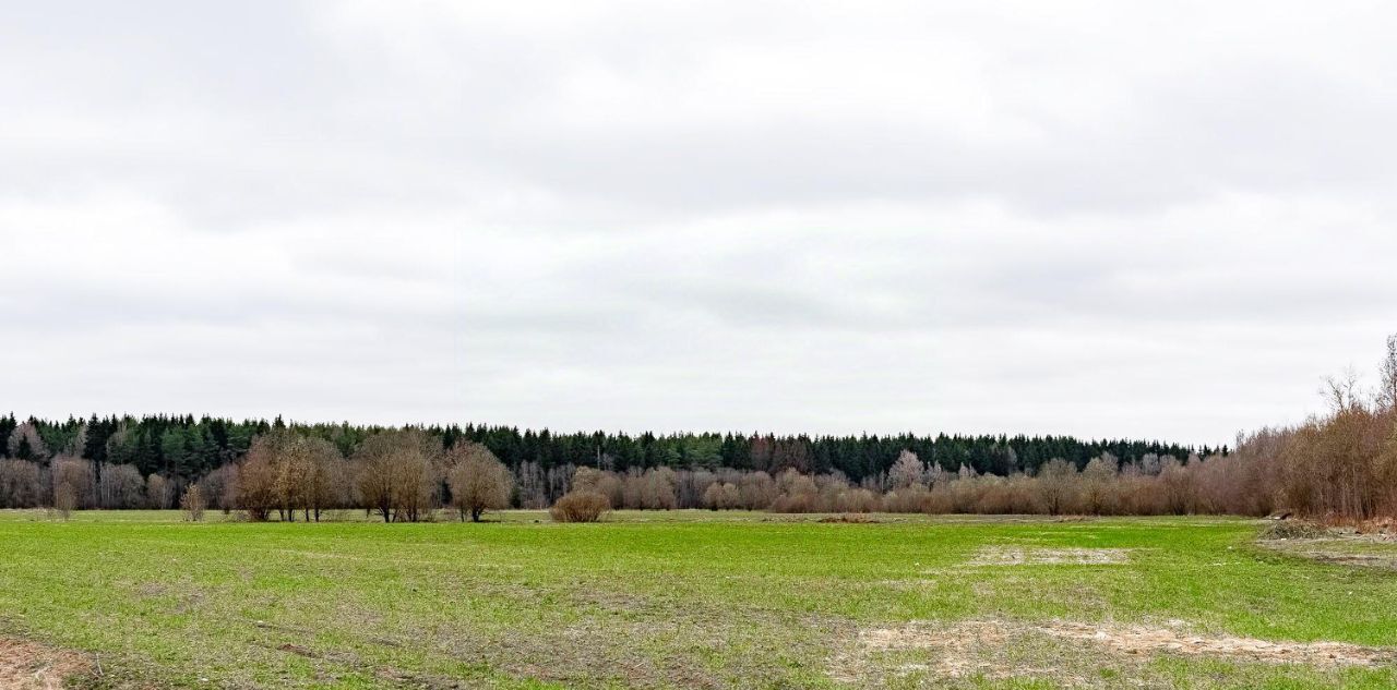 земля р-н Гатчинский снт Дача Таицкое городское поселение фото 3