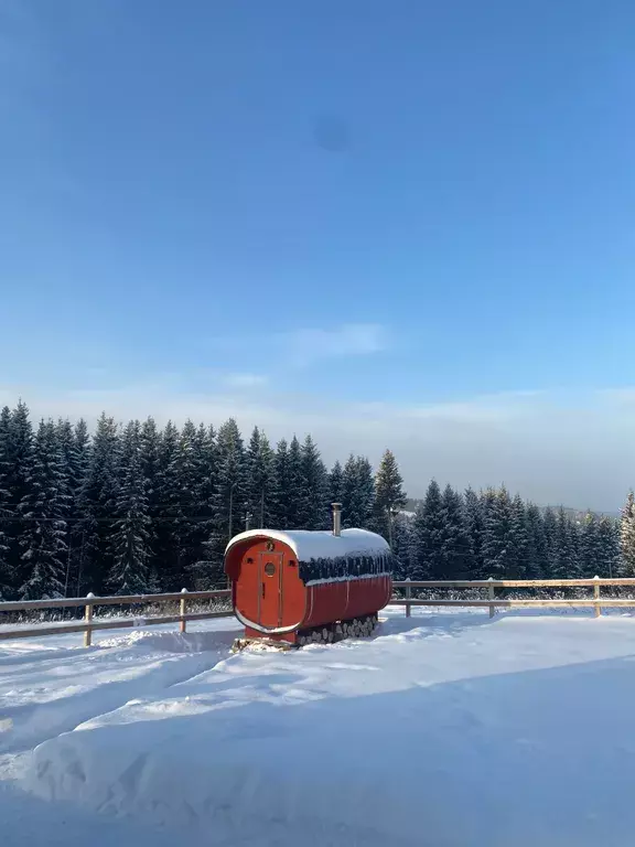 дом р-н Кунгурский д Гора Янтарная улица, 19, Пермь фото 13