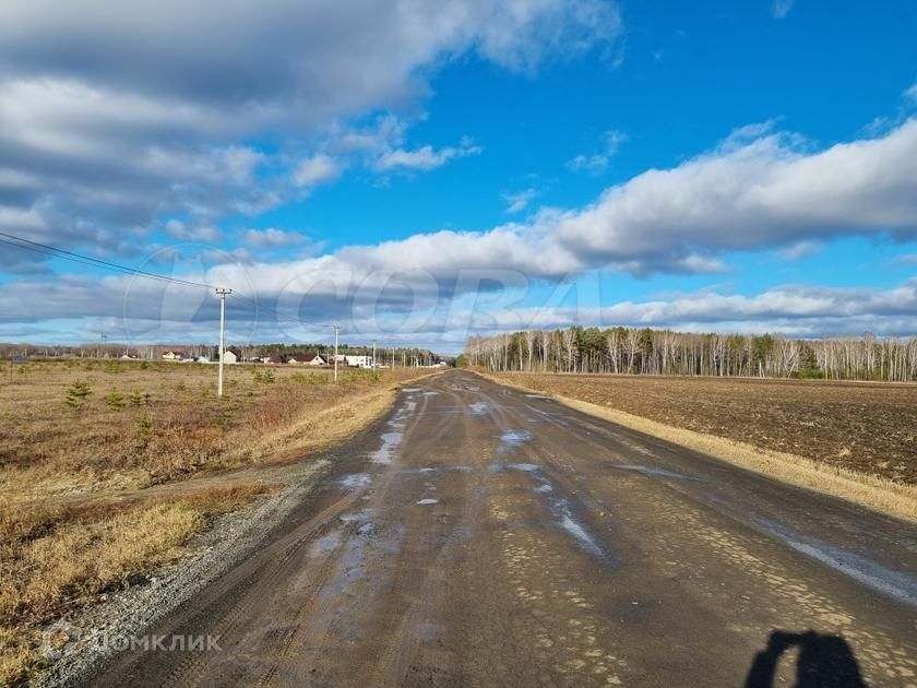 земля р-н Тюменский Каменское муниципальное образование фото 3