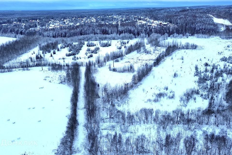 земля р-н Сыктывдинский муниципальное образование Выльгорт фото 8