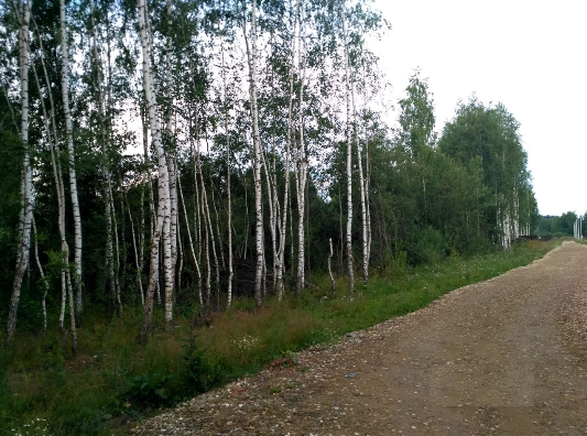 земля городской округ Наро-Фоминский деревня Любаново фото 2