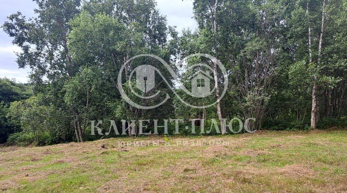 земля г Южно-Сахалинск с Елочки ДНТ, Корсаковский городской округ фото 11
