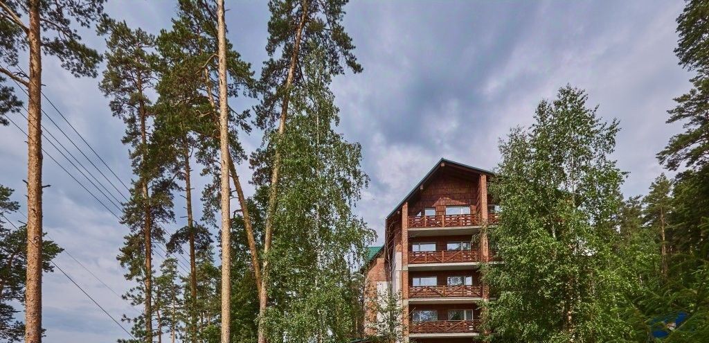 комната г Миасс п Золотой Пляж 1к 3, Миасский городской округ фото 4