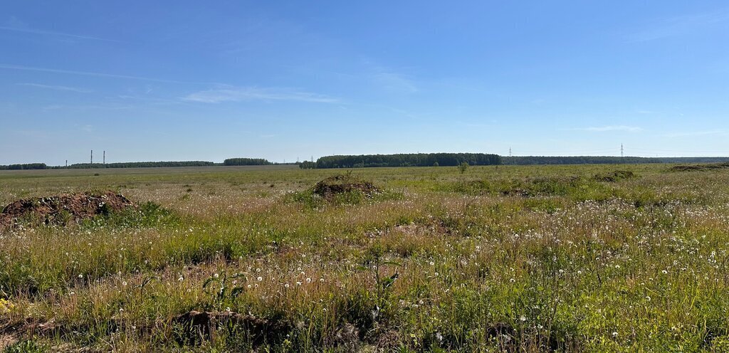 земля г Кашира городской округ Кашира фото 8