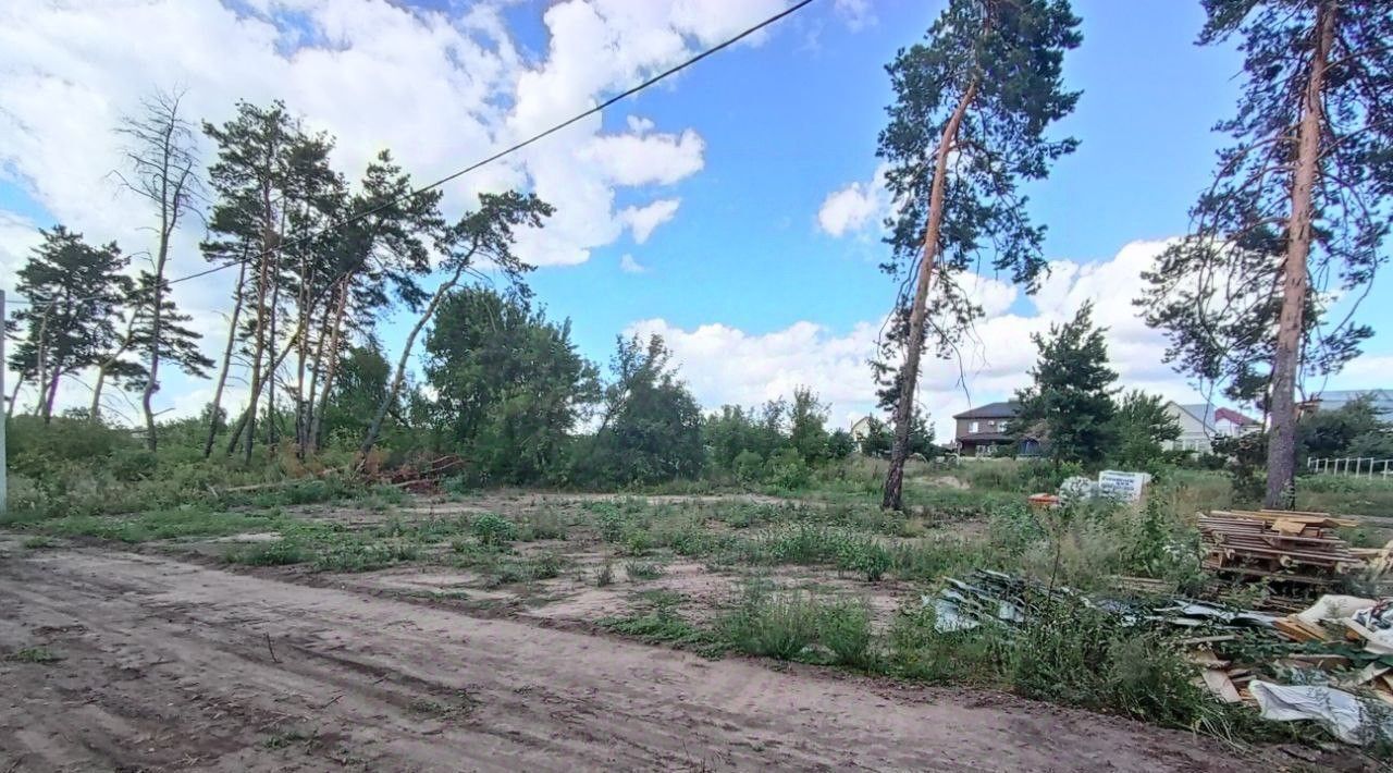 земля р-н Рамонский с Новоживотинное ул Шоссейная фото 3