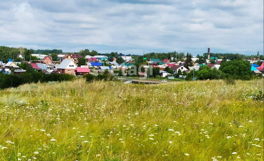 земля р-н Новосибирский с Верх-Тула ул Садовая Площадь Маркса фото 1