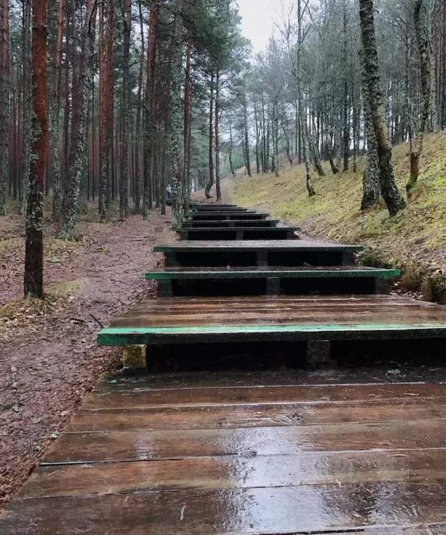 квартира р-н Зеленоградский г Зеленоградск ул Большая Окружная 2б к 1 фото 23