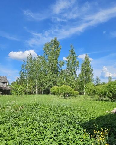 земля Любанское городское поселение, массив Агротехника, участок Пойма реки Тигода № 2 фото