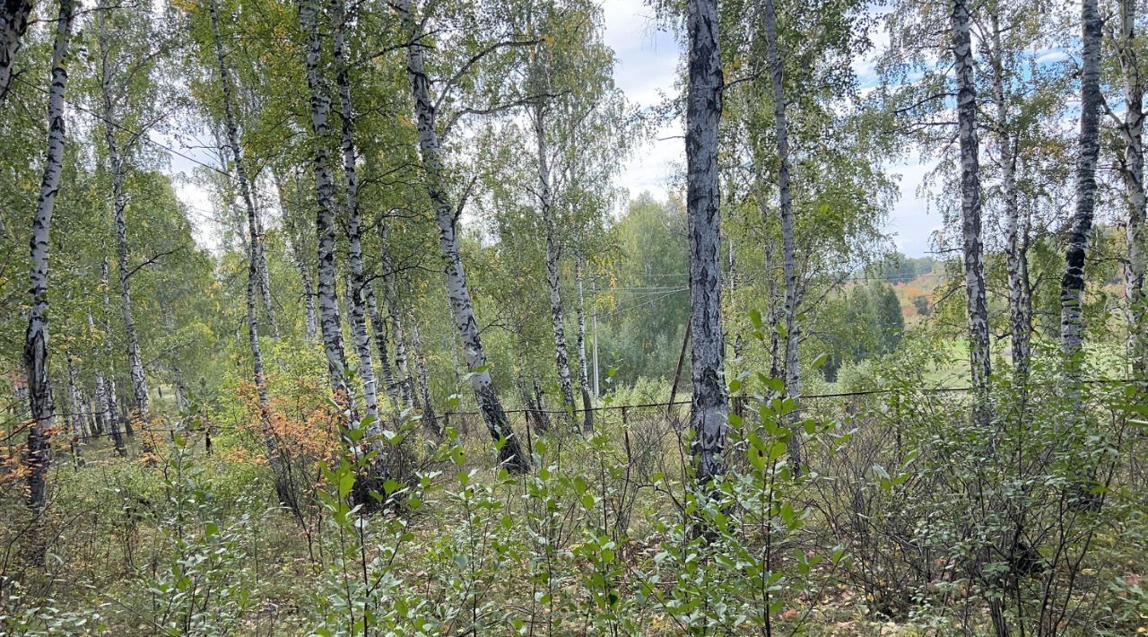 свободного назначения р-н Сосновский с Большие Харлуши мкр Южные ключи Кременкульское с/пос фото 9