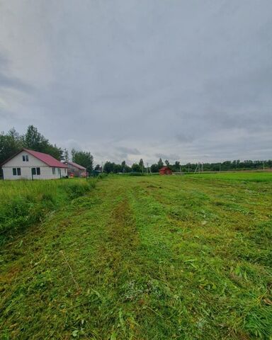 Кузёмкинское сельское поселение, Ивангород фото