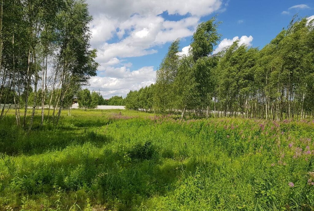 земля городской округ Дмитровский д Капорки Лобня фото 21